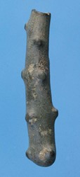 <p>Bronzen knots van een Herculesbeeldje, aangetroffen op het tempelterrein (Derks e.a. 2008).</p>
